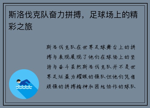 斯洛伐克队奋力拼搏，足球场上的精彩之旅